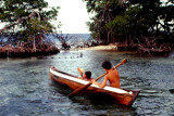 Explorer la mangrove